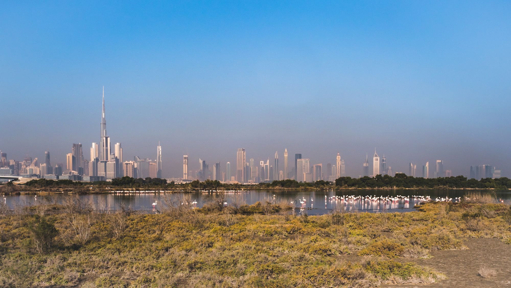 Dubai Creek Harbour gallery image 11