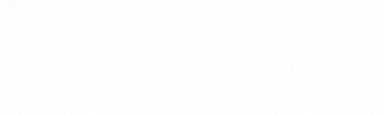 FNL Logo